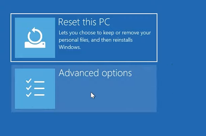 Advanced Repair Options